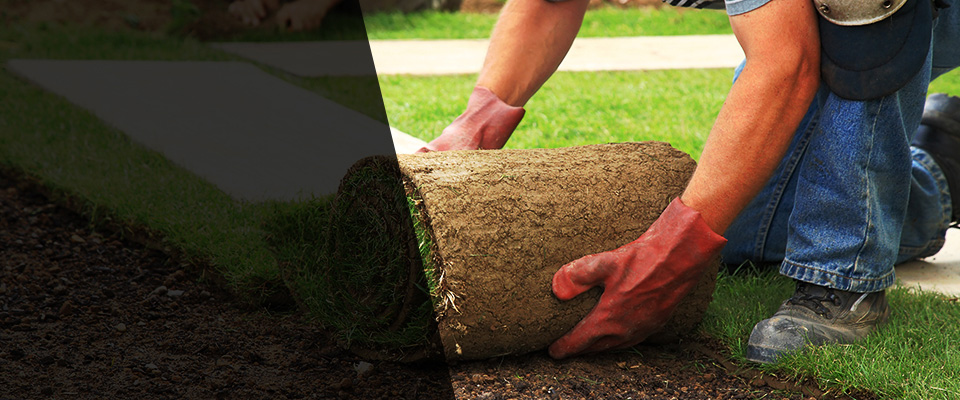 South Portland Landscapers